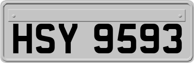 HSY9593