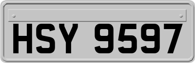 HSY9597