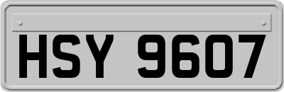 HSY9607