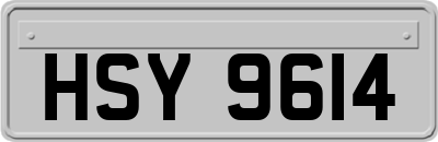 HSY9614