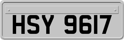 HSY9617
