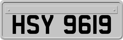 HSY9619