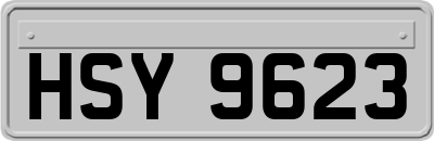 HSY9623