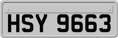 HSY9663