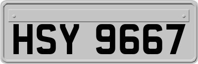 HSY9667