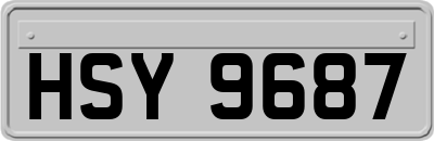 HSY9687