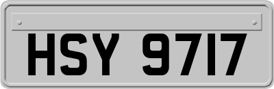HSY9717