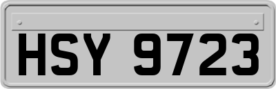 HSY9723