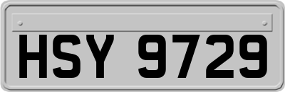 HSY9729