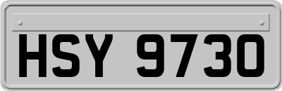 HSY9730