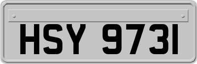 HSY9731