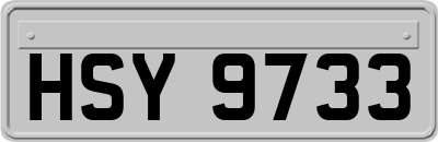 HSY9733