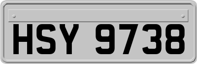 HSY9738