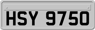 HSY9750