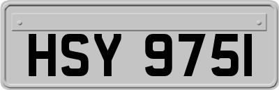 HSY9751