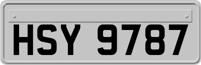 HSY9787