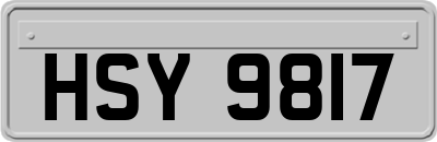 HSY9817