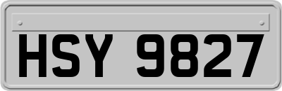HSY9827