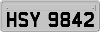 HSY9842
