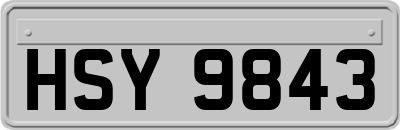 HSY9843