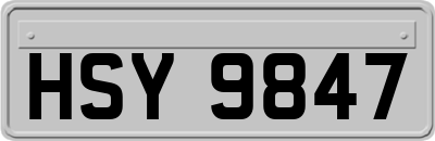 HSY9847