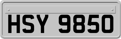 HSY9850