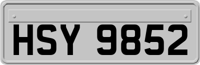 HSY9852