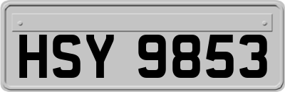 HSY9853