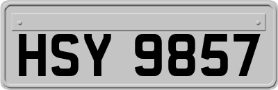 HSY9857