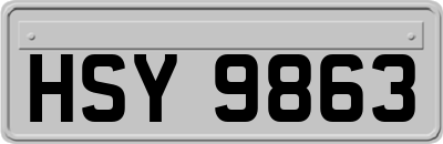HSY9863