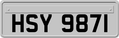 HSY9871