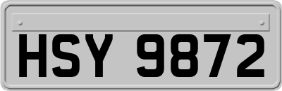 HSY9872