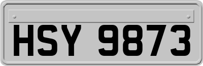 HSY9873
