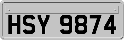 HSY9874