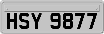 HSY9877