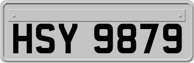 HSY9879