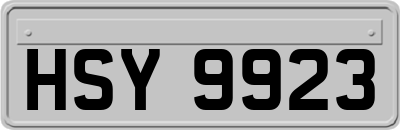 HSY9923