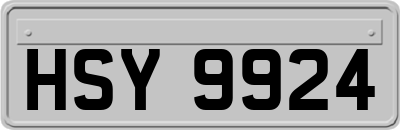 HSY9924
