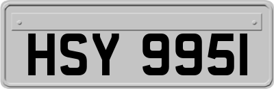 HSY9951