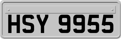 HSY9955