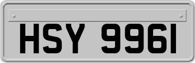 HSY9961