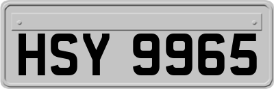 HSY9965