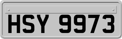 HSY9973