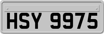 HSY9975