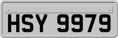 HSY9979