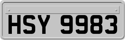 HSY9983