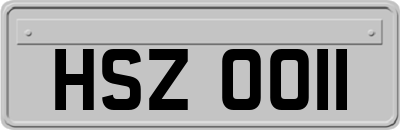 HSZ0011