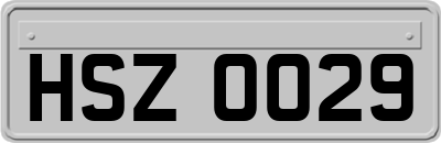 HSZ0029