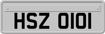 HSZ0101