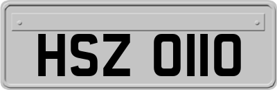 HSZ0110